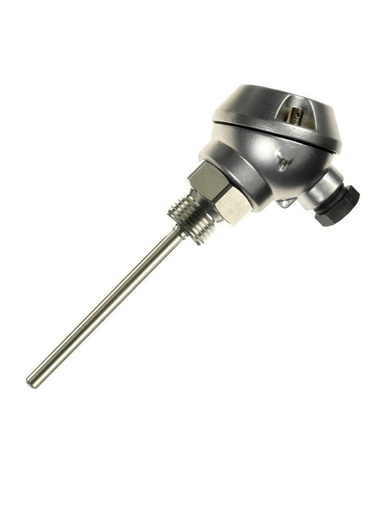 Capteur de température à immersion avec tube plongeur 1/2x150 mm